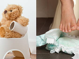 Top Tips To Toilet Training Su...
